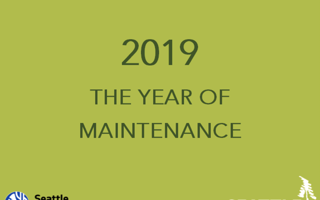 2019 – The Year of Maintenance