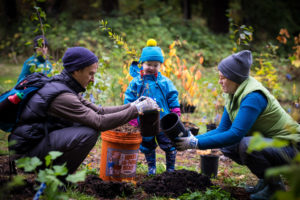 Family Planting