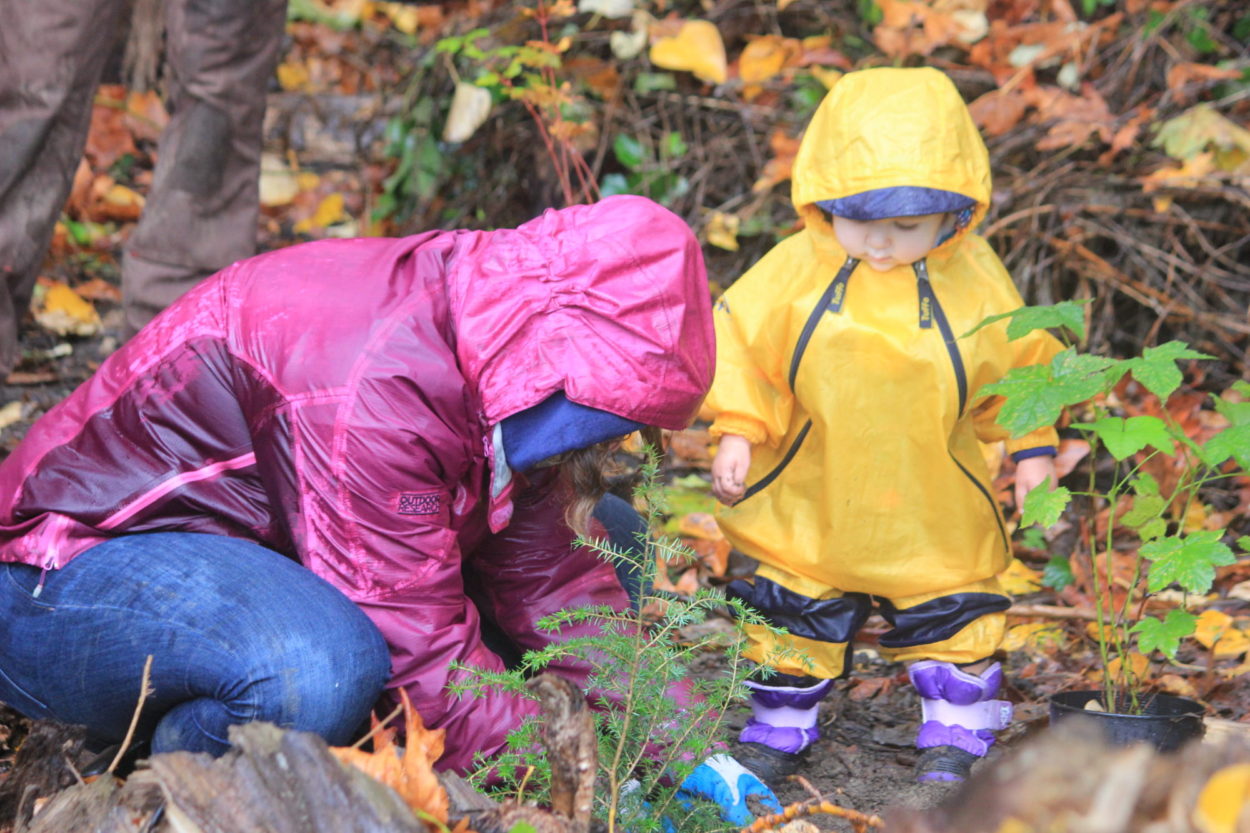 Rain Planting