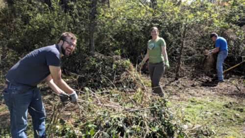 Five New Teams – All Master Native Plant Stewards