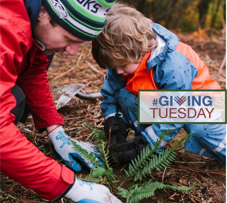 Giving Tuesday: Give Back to Seattle’s Parks!