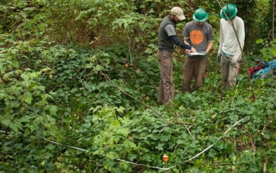 GSP Long-Term Monitoring Tells a Story of Improving Forest Health