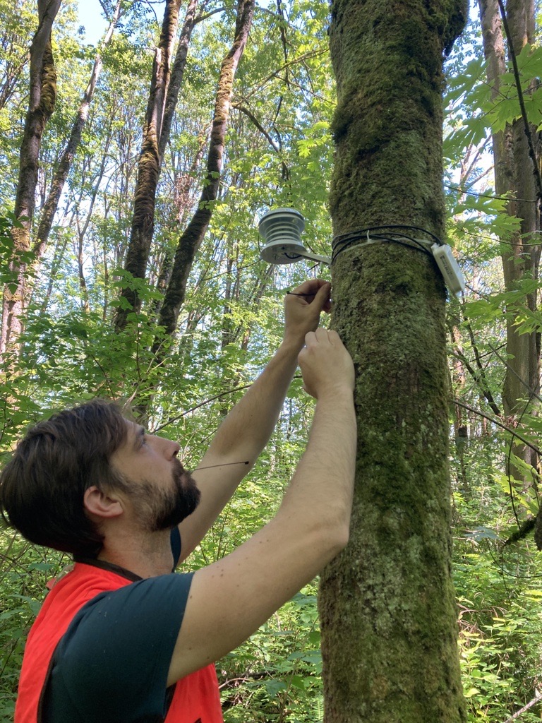 Installing an air temperature sensor at one of Seattle's parks
