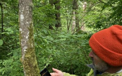 Caring and Cooling: Seattle’s Forests in a Warming World