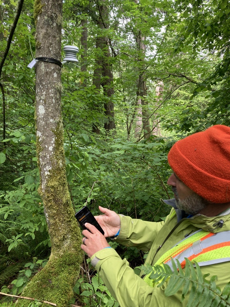 Testing an air temperature sensor at a Seattle park