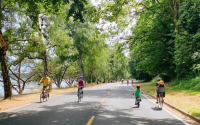 Lake Washington Boulevard Shoreline Restoration: We want to hear from you!