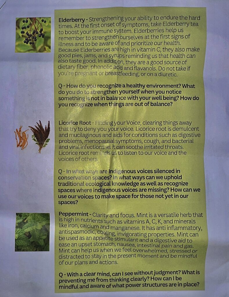 A photo of the front page of the packet that was passed out. Included on the page is elderberry, licorice root, and peppermint. This was a take home paper attendees could use that  also included guiding questions to keep in mind. 
