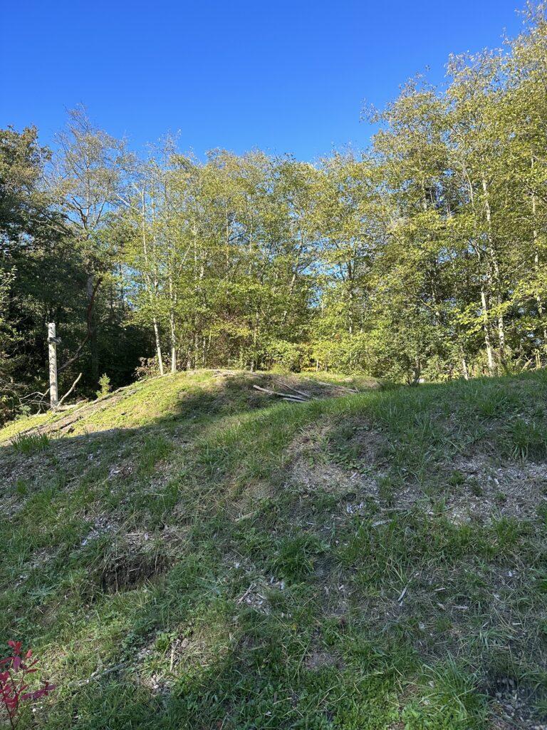 A photo overlooking the serpent mound, a large and grass covered mound. 