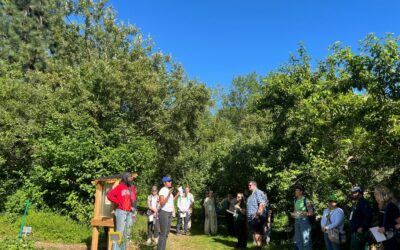 Sharing Green Seattle with Summer Visitors from Near and Far