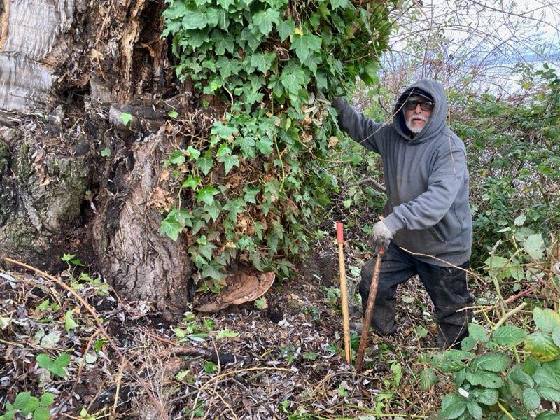 Closing in on 50,000 Survival Rings: How it Helps Our Forests Thrive! 