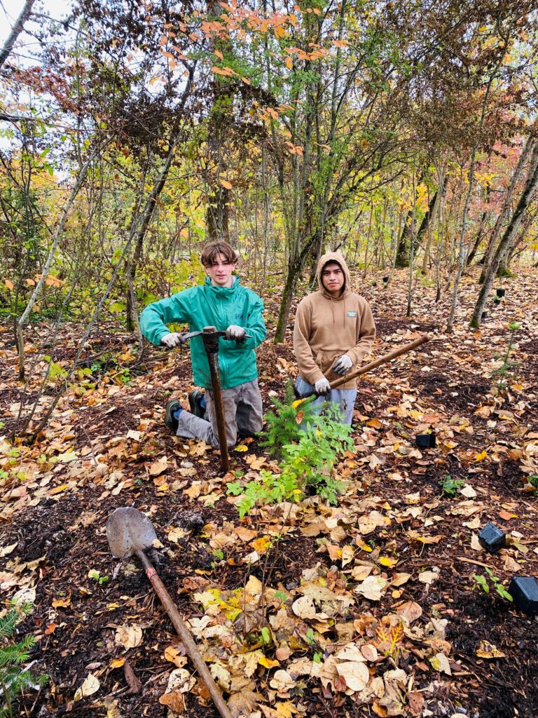 two people kneeling on the ground posing next to a recently planted tree.