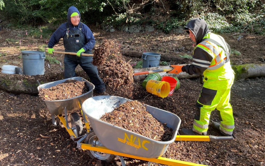 2 Natural Area Crew folks in safety gear holding shovels full of mulch to be placed into silver wheelbarrows.