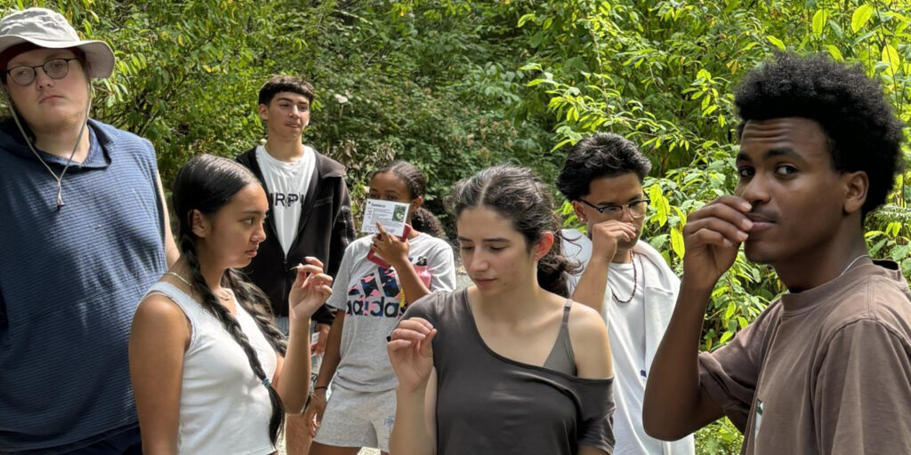 A group of youth standing together smelling a piece of Grand Fir during a plant ID walk