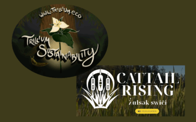 Green Seattle Partnership welcomes Trillium Sustainability and Cattail Rising as new community partner organizations! 